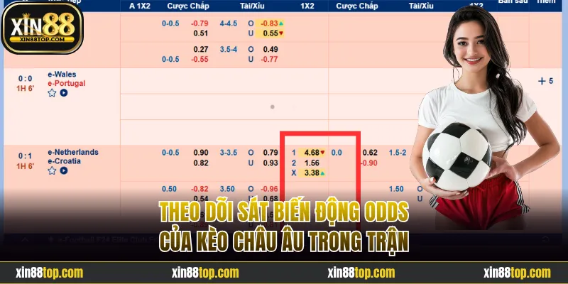 Theo dõi sát biến động odds của kèo châu Âu